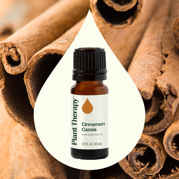 Cinnamon Cassia Essential Oil