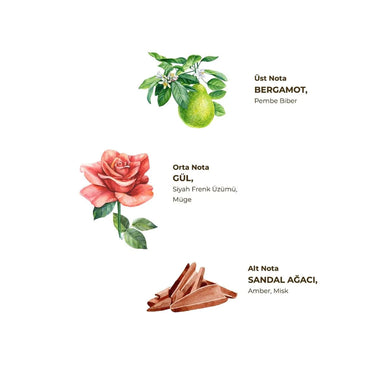 Eyüp Sabri Tuncer Cologne Magnolia Flower 150Ml
