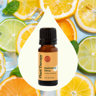 Seabreeze Citrus Doğal Koku