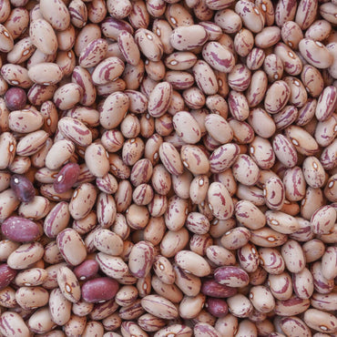Hasata Barbunya 1Kg