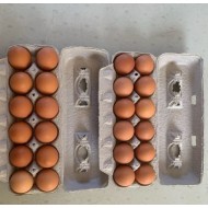 Amish Brown Eggs Lapp Valley 12pc